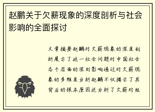 赵鹏关于欠薪现象的深度剖析与社会影响的全面探讨