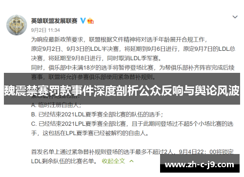 魏震禁赛罚款事件深度剖析公众反响与舆论风波