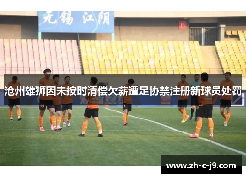 沧州雄狮因未按时清偿欠薪遭足协禁注册新球员处罚